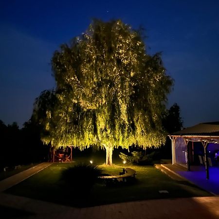 Apartament Battonya House Zewnętrze zdjęcie