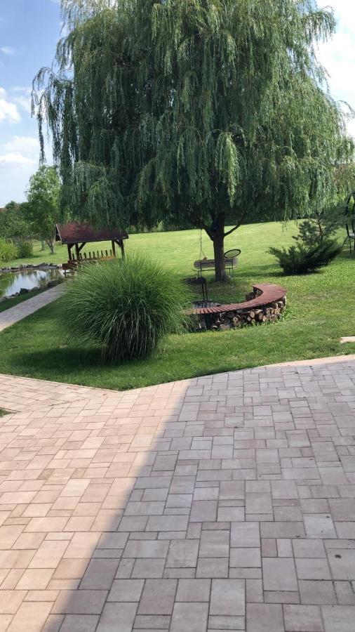 Apartament Battonya House Zewnętrze zdjęcie