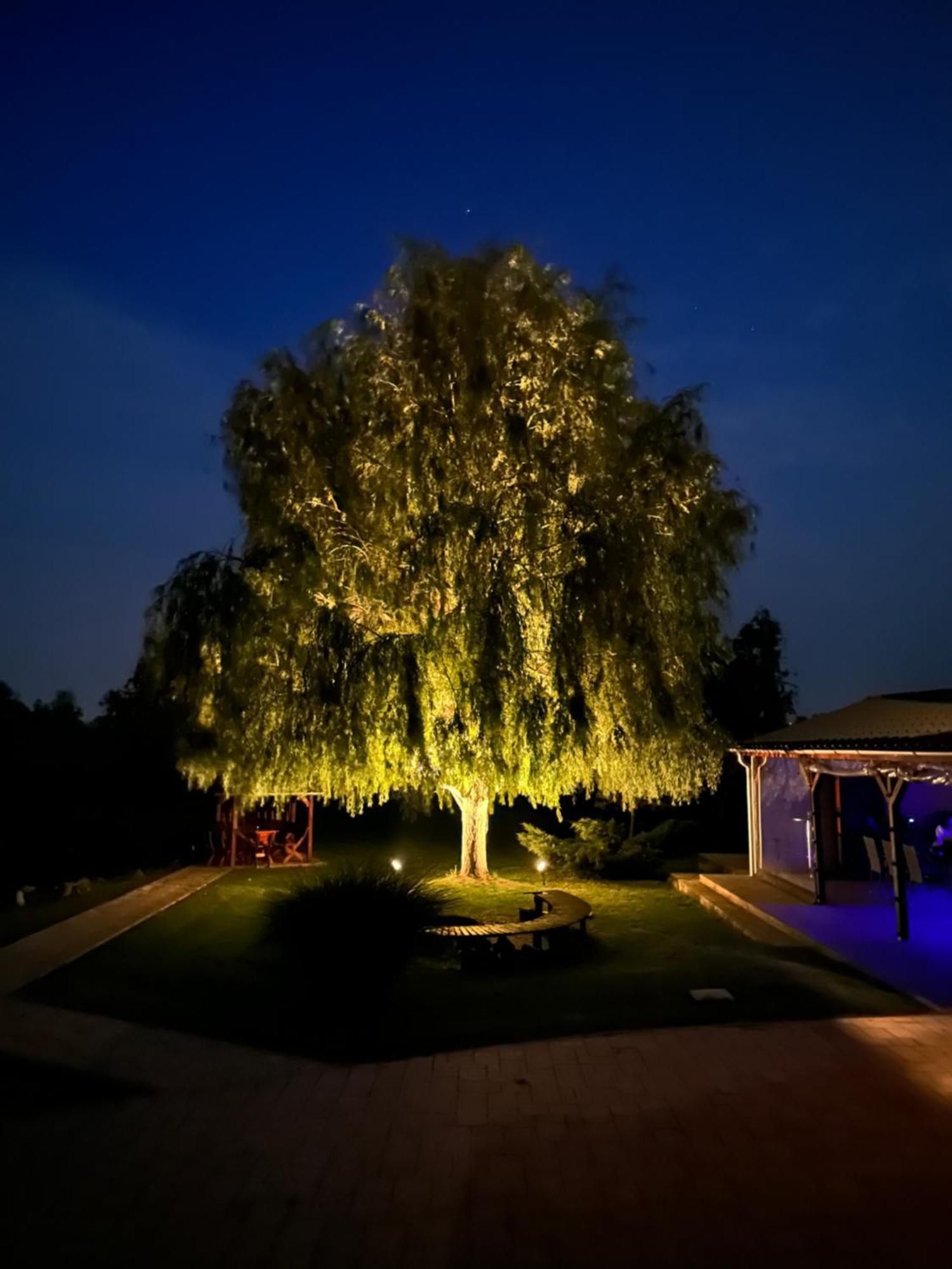 Apartament Battonya House Zewnętrze zdjęcie